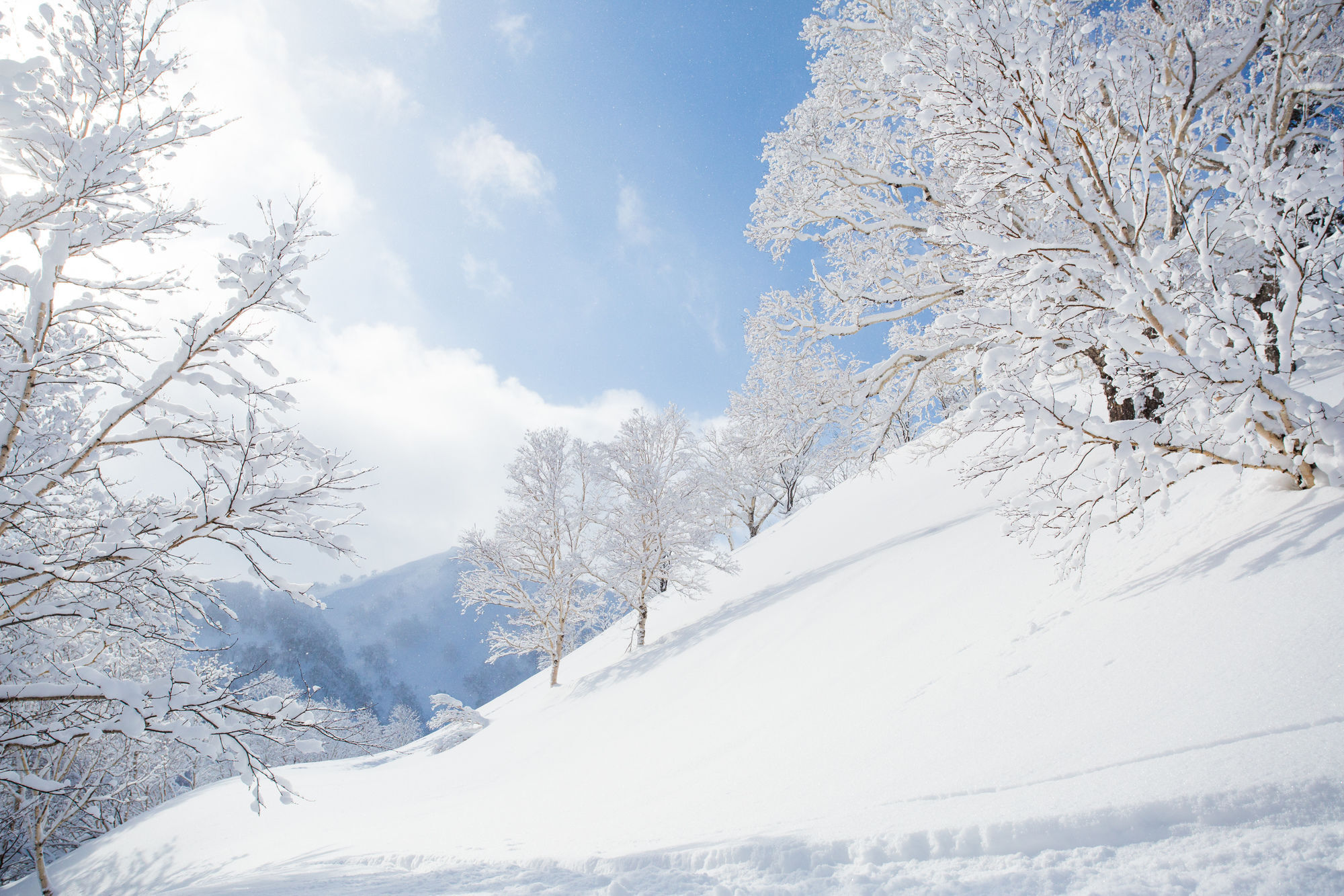 Holiday Niseko Flow Niseko Leilighet Ōmagari Eksteriør bilde